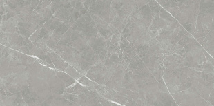 Керамогранит NT Ceramic Pietra серый арт. PT612NTT1102L (60x120) лаппатированная 